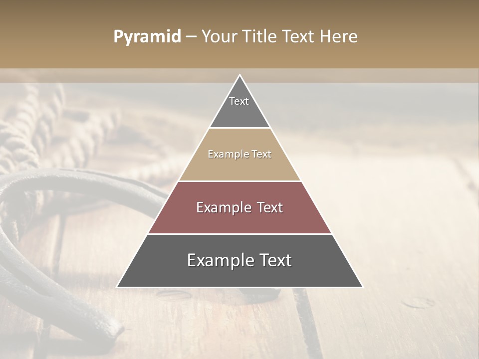 Rich West Shine PowerPoint Template