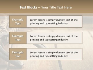 Rich West Shine PowerPoint Template