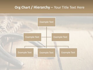 Rich West Shine PowerPoint Template