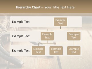 Rich West Shine PowerPoint Template