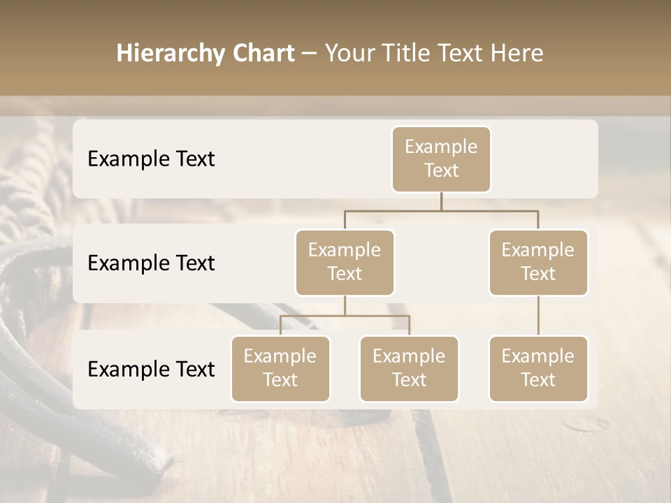 Rich West Shine PowerPoint Template