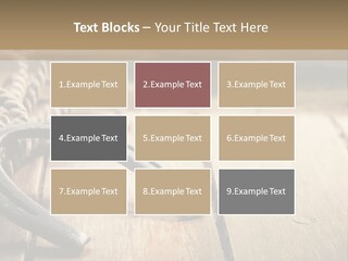 Rich West Shine PowerPoint Template