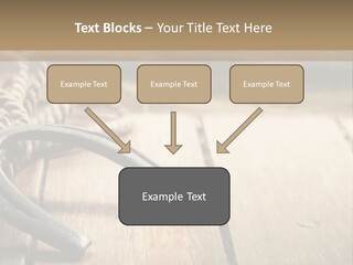 Rich West Shine PowerPoint Template