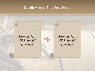 Rich West Shine PowerPoint Template