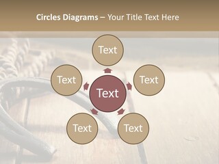 Rich West Shine PowerPoint Template