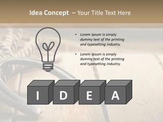Rich West Shine PowerPoint Template