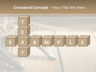 Rich West Shine PowerPoint Template