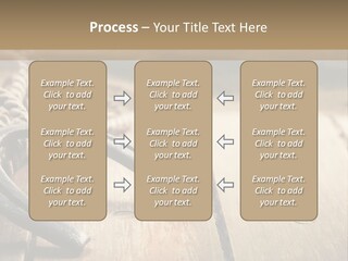Rich West Shine PowerPoint Template