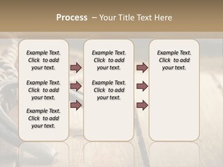 Rich West Shine PowerPoint Template