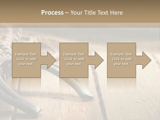 Rich West Shine PowerPoint Template