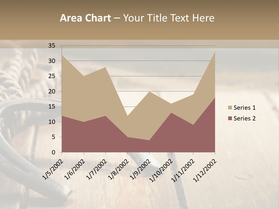 Rich West Shine PowerPoint Template