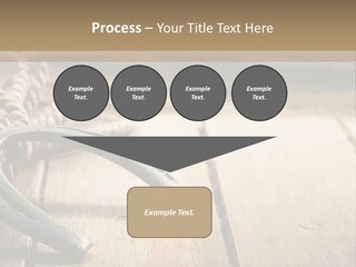 Rich West Shine PowerPoint Template