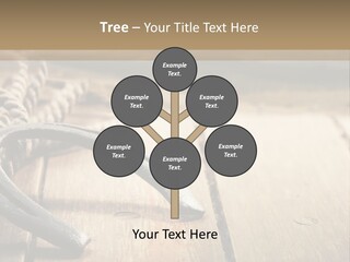 Rich West Shine PowerPoint Template