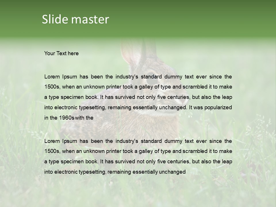 Whiskers Lagomorph Spring PowerPoint Template