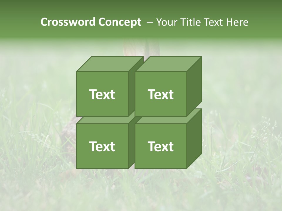 Whiskers Lagomorph Spring PowerPoint Template