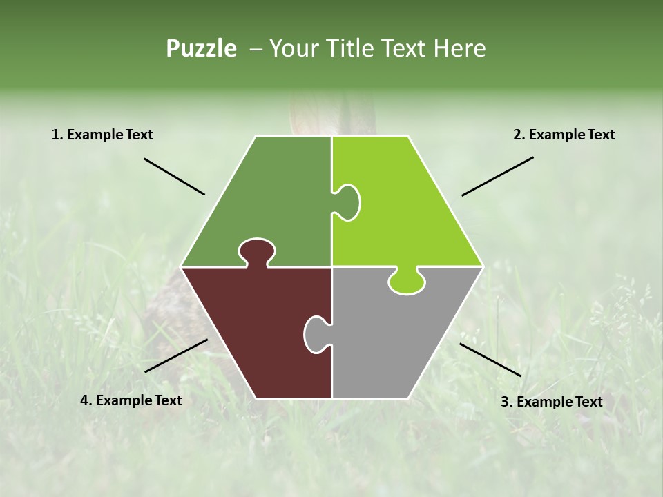 Whiskers Lagomorph Spring PowerPoint Template