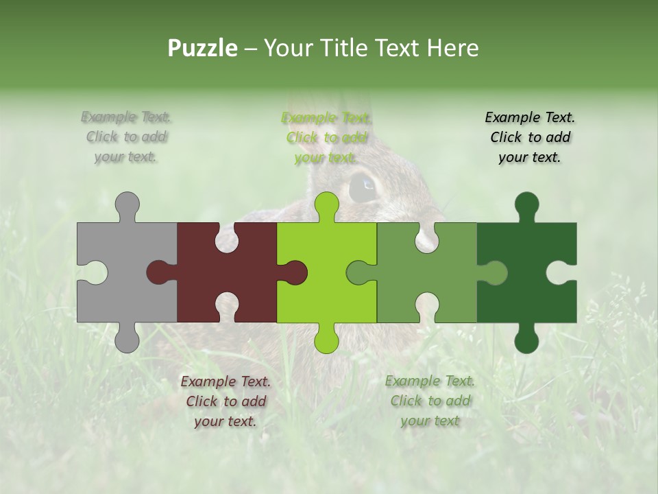 Whiskers Lagomorph Spring PowerPoint Template