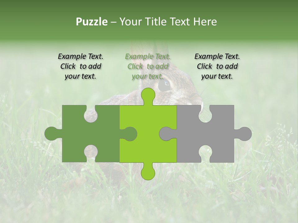 Whiskers Lagomorph Spring PowerPoint Template