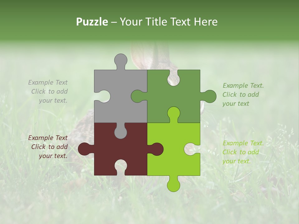 Whiskers Lagomorph Spring PowerPoint Template