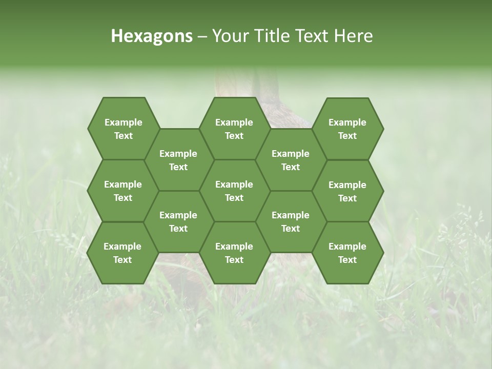 Whiskers Lagomorph Spring PowerPoint Template