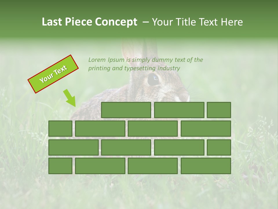 Whiskers Lagomorph Spring PowerPoint Template