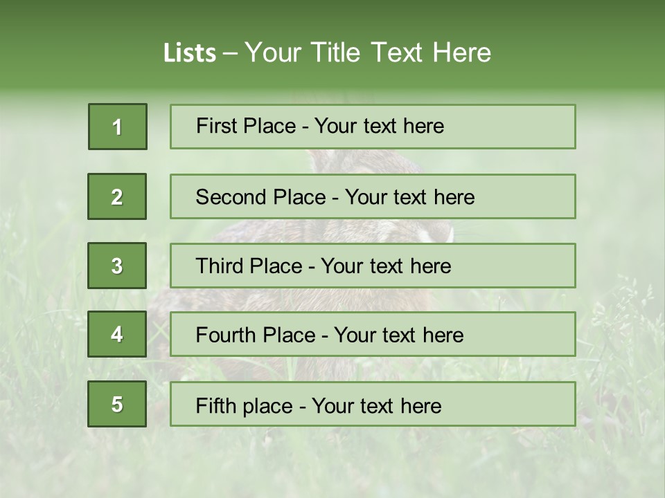 Whiskers Lagomorph Spring PowerPoint Template