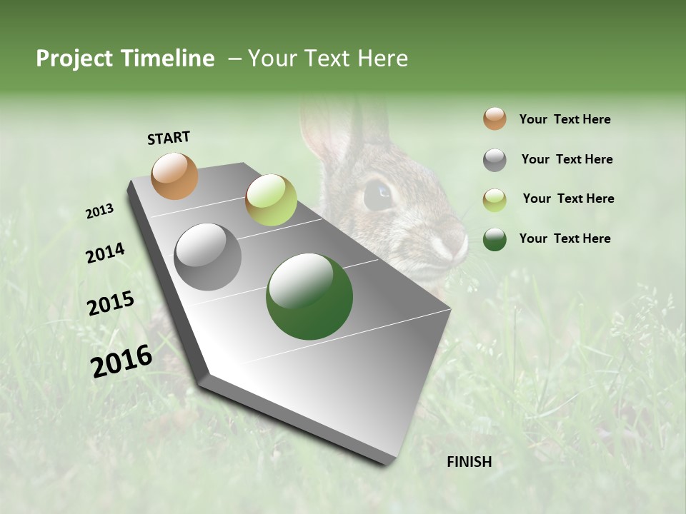Whiskers Lagomorph Spring PowerPoint Template