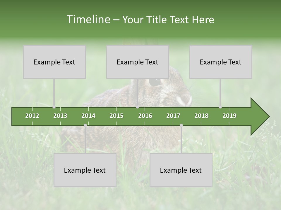 Whiskers Lagomorph Spring PowerPoint Template