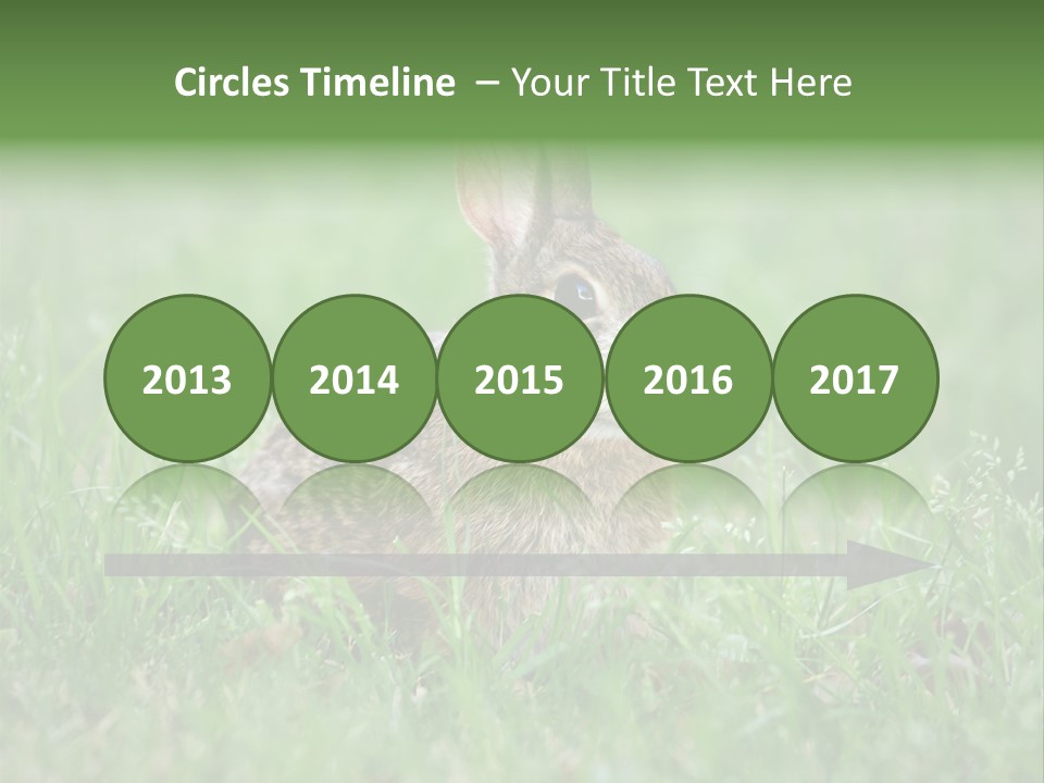 Whiskers Lagomorph Spring PowerPoint Template