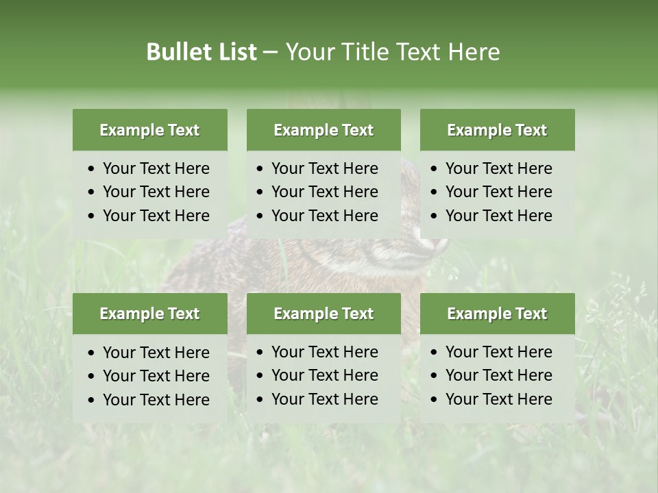 Whiskers Lagomorph Spring PowerPoint Template