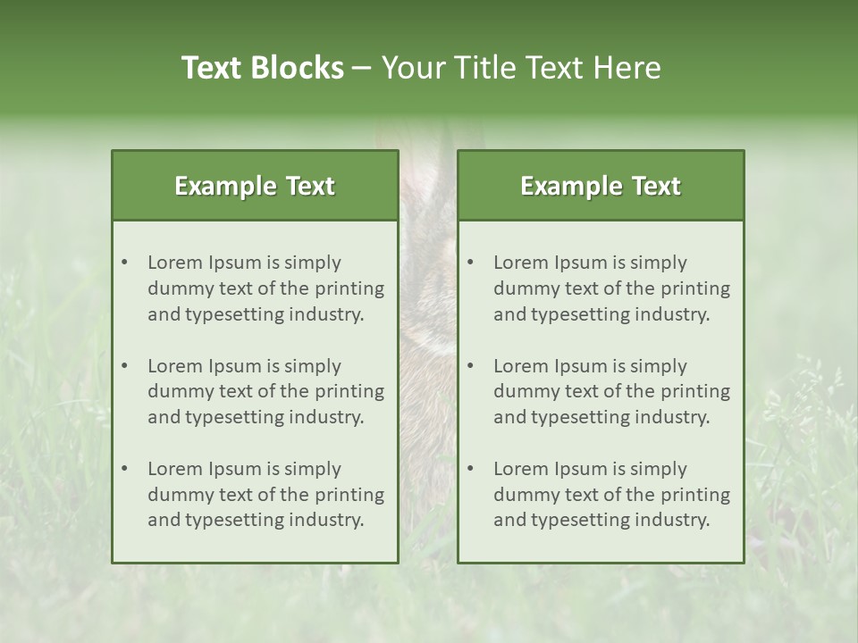 Whiskers Lagomorph Spring PowerPoint Template