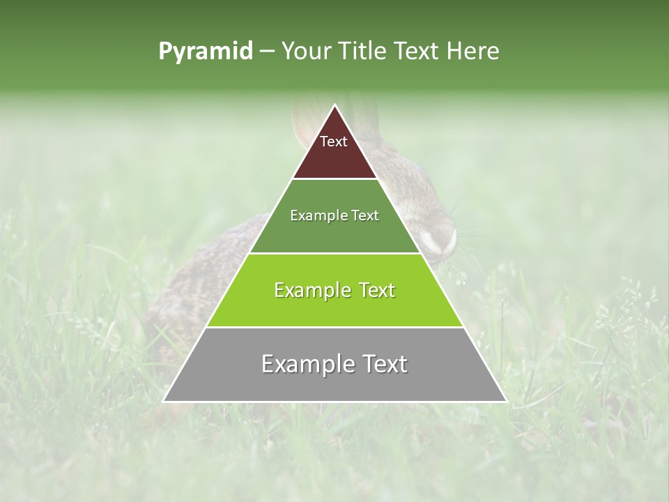 Whiskers Lagomorph Spring PowerPoint Template