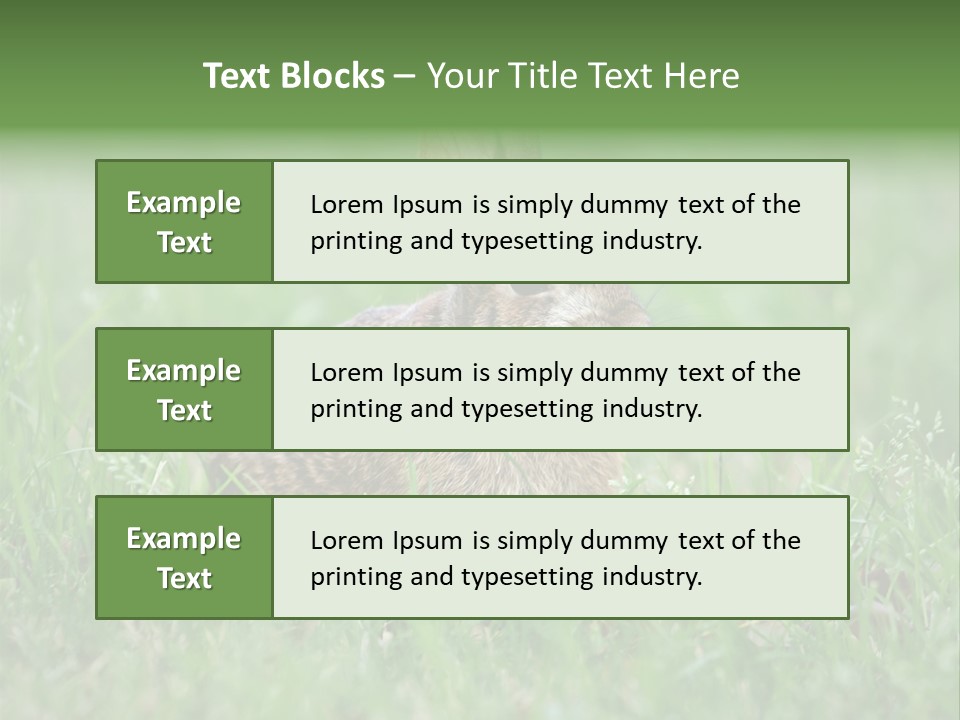 Whiskers Lagomorph Spring PowerPoint Template