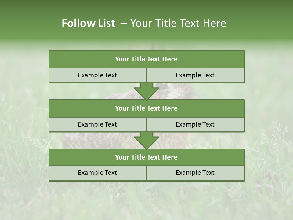 Whiskers Lagomorph Spring PowerPoint Template