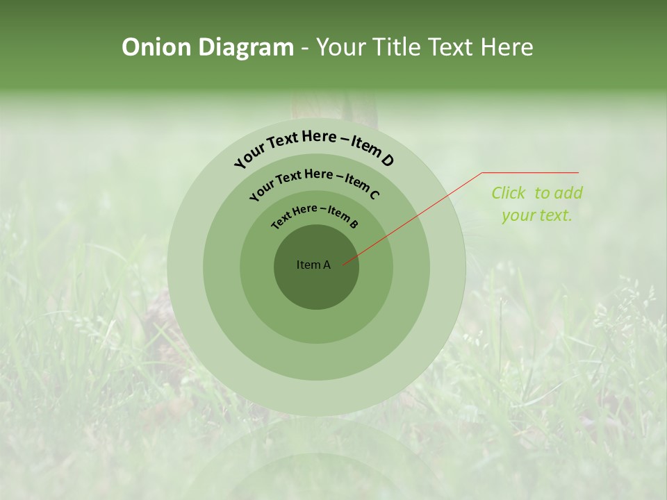 Whiskers Lagomorph Spring PowerPoint Template