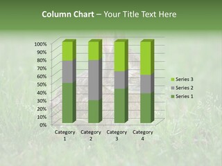 Whiskers Lagomorph Spring PowerPoint Template