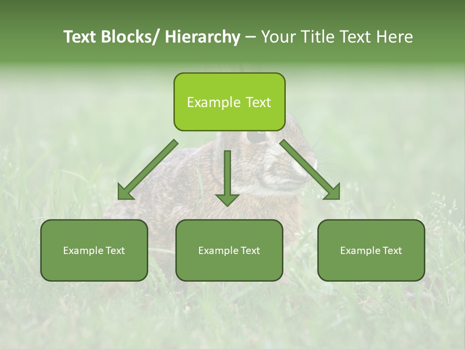 Whiskers Lagomorph Spring PowerPoint Template