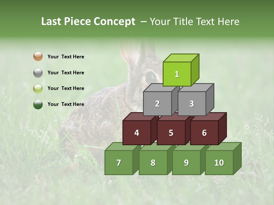 Whiskers Lagomorph Spring PowerPoint Template