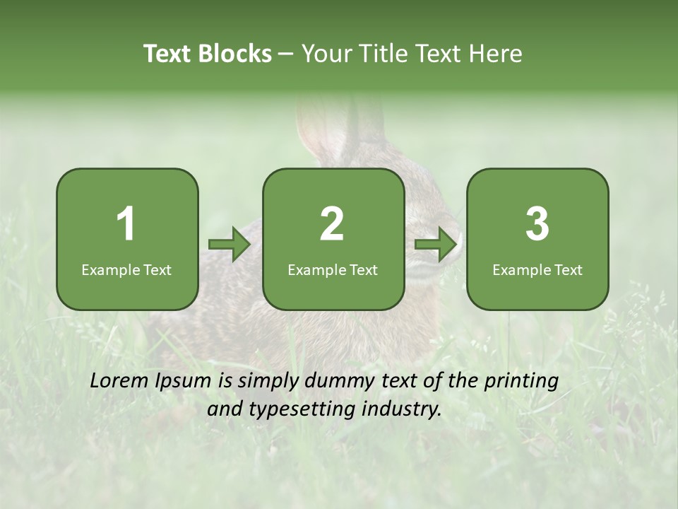 Whiskers Lagomorph Spring PowerPoint Template