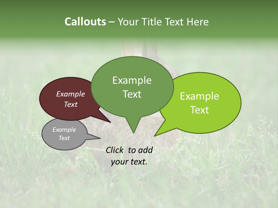 Whiskers Lagomorph Spring PowerPoint Template