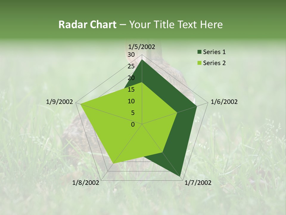 Whiskers Lagomorph Spring PowerPoint Template
