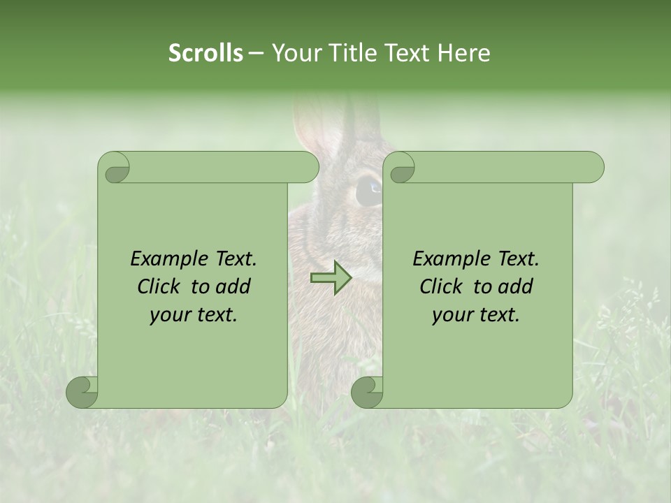 Whiskers Lagomorph Spring PowerPoint Template