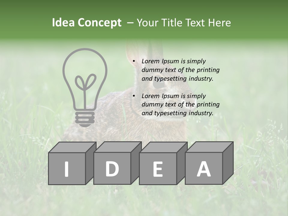Whiskers Lagomorph Spring PowerPoint Template