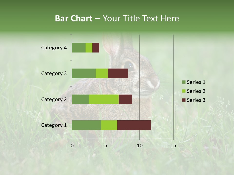 Whiskers Lagomorph Spring PowerPoint Template