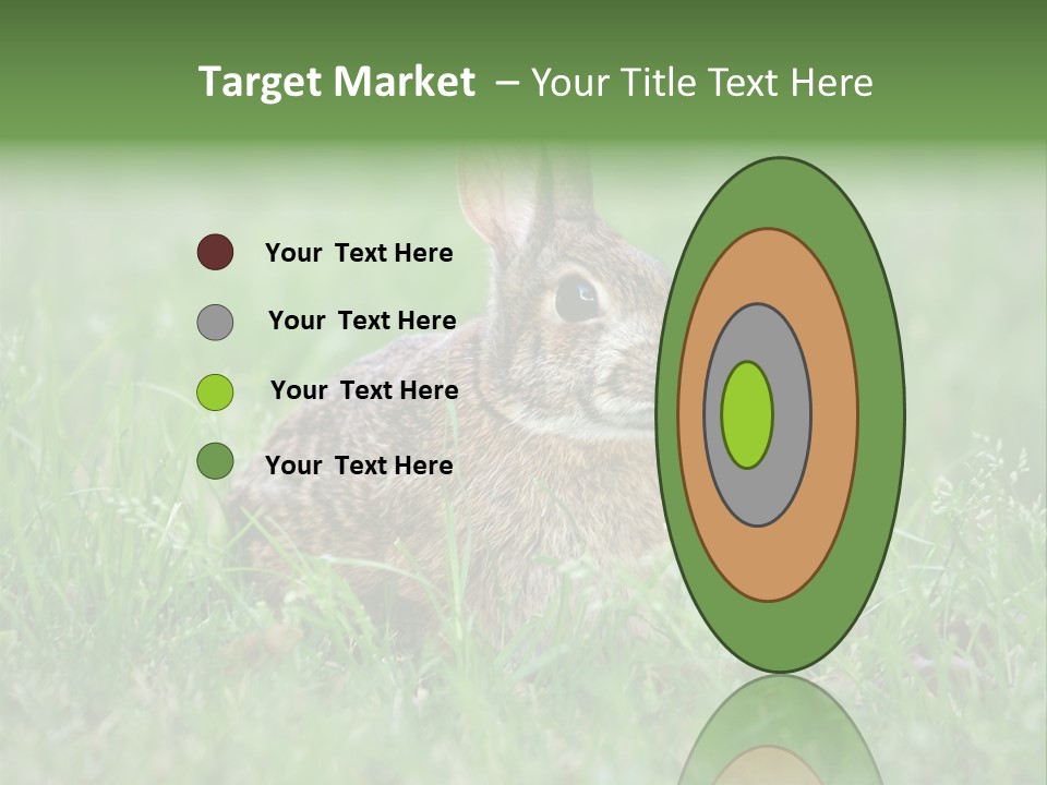 Whiskers Lagomorph Spring PowerPoint Template