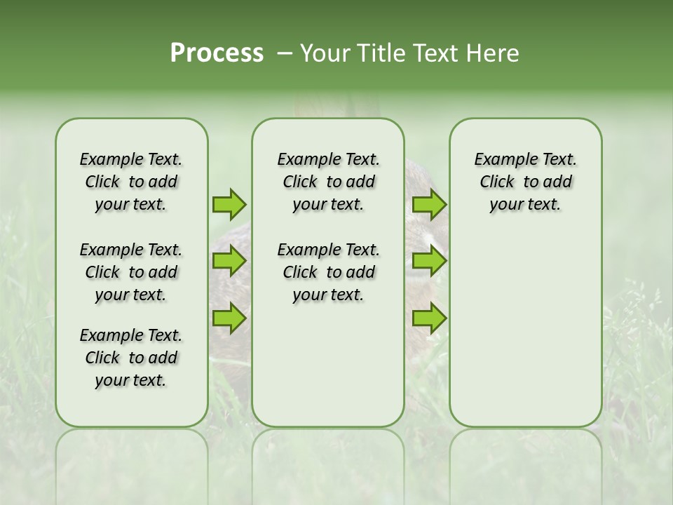 Whiskers Lagomorph Spring PowerPoint Template