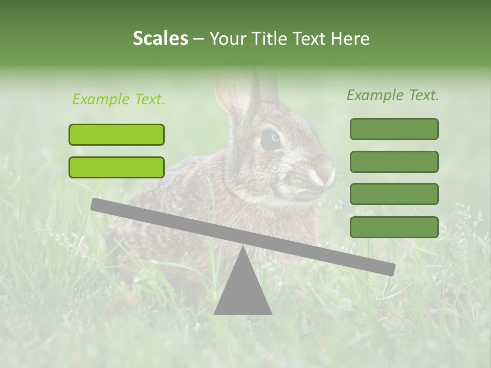 Whiskers Lagomorph Spring PowerPoint Template