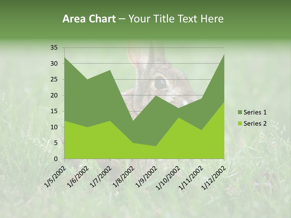 Whiskers Lagomorph Spring PowerPoint Template