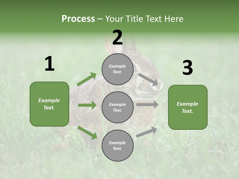 Whiskers Lagomorph Spring PowerPoint Template