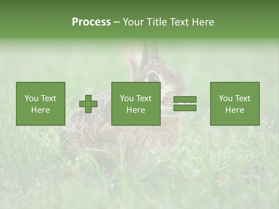 Whiskers Lagomorph Spring PowerPoint Template